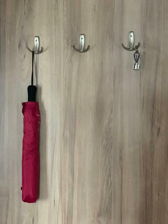 Mei Brassó Kültér fotó