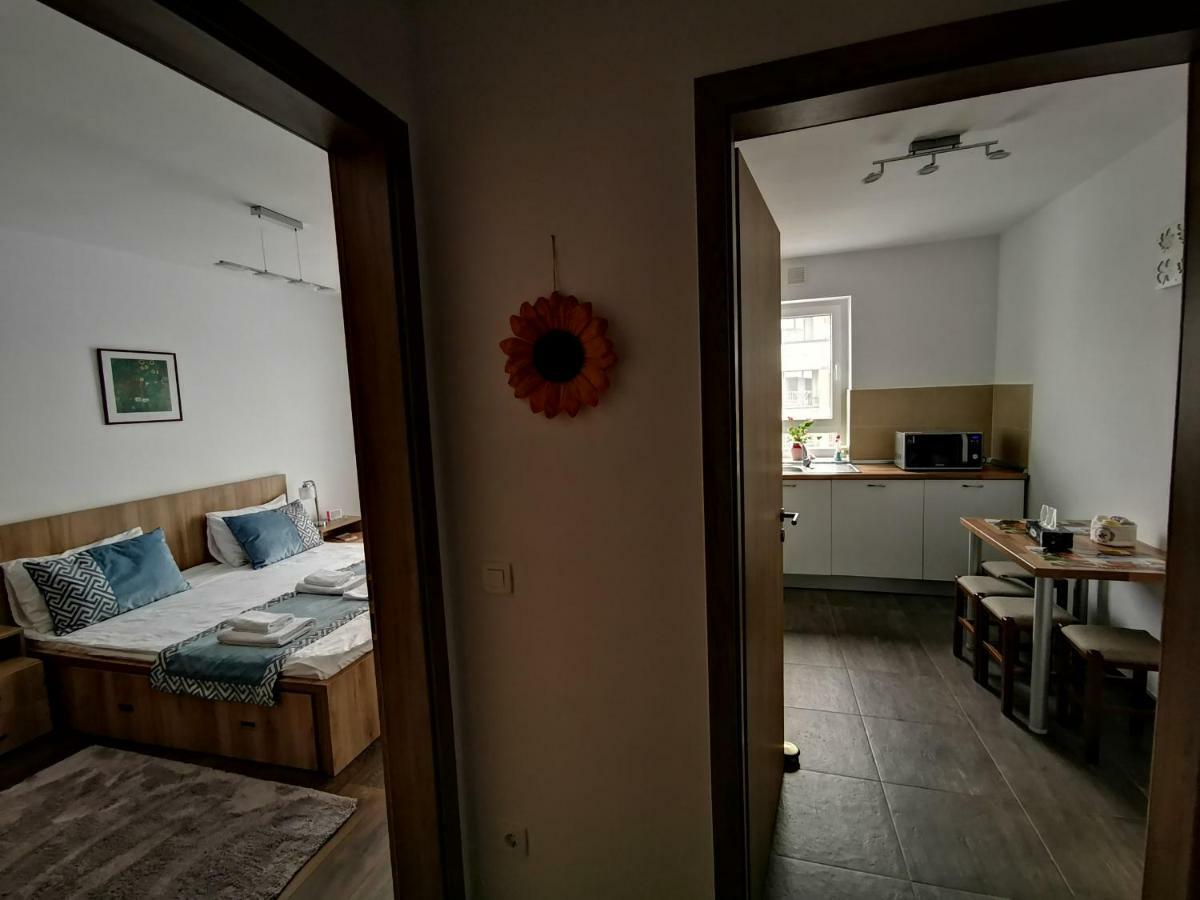 Mei Brassó Kültér fotó